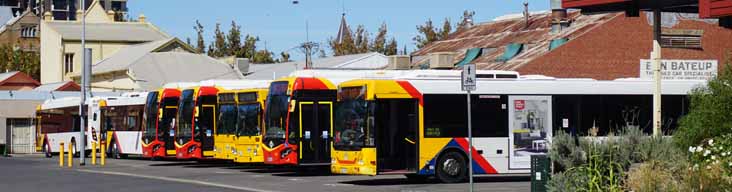 Adelaide Metro buses on city layover